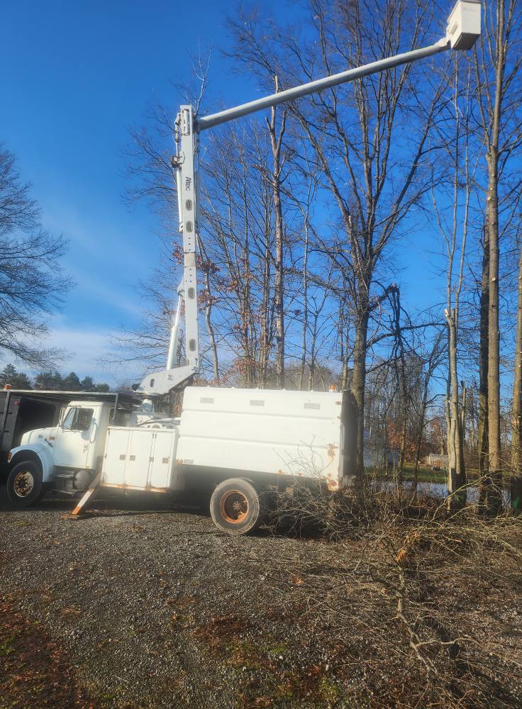 The Big Dogz Tree Service truck and equipment, on-site in Northeast Ohio.