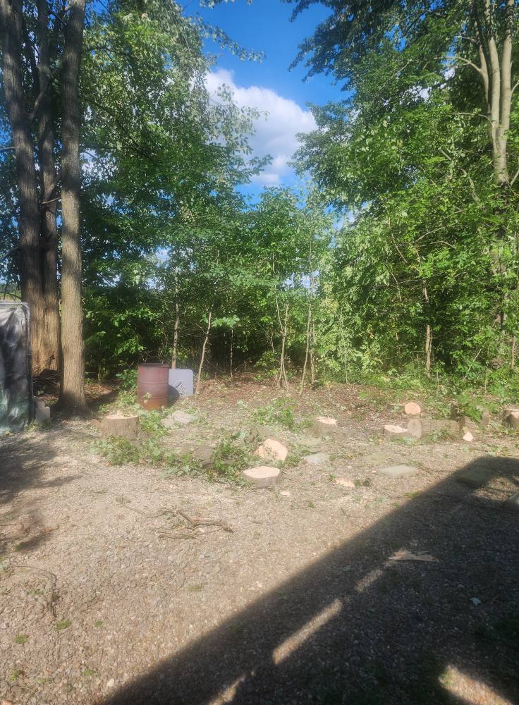 Stump Grinding — Ground below grade so you can sod, plant, or just have your yard back.